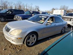 Salvage cars for sale at Baltimore, MD auction: 2002 Mercedes-Benz S 430