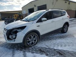 Salvage cars for sale at Marlboro, NY auction: 2013 Ford Escape SEL