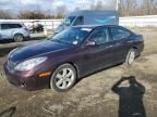 2005 Lexus ES 330