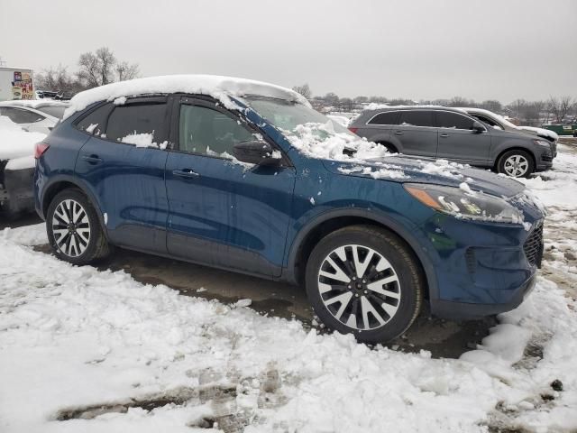 2020 Ford Escape SE Sport