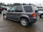 2002 Ford Escape XLT