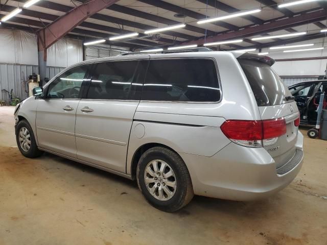 2008 Honda Odyssey EXL