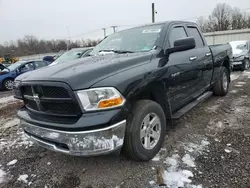 Salvage trucks for sale at Hillsborough, NJ auction: 2009 Dodge RAM 1500