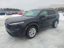 2024 Honda CR-V LX en venta en Elmsdale, NS