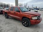 2008 Dodge Dakota Quad SLT