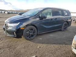 Salvage cars for sale at Assonet, MA auction: 2023 Honda Odyssey SPORT-L