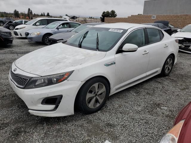 2015 KIA Optima Hybrid