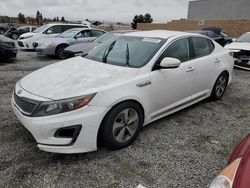 Salvage cars for sale at Mentone, CA auction: 2015 KIA Optima Hybrid