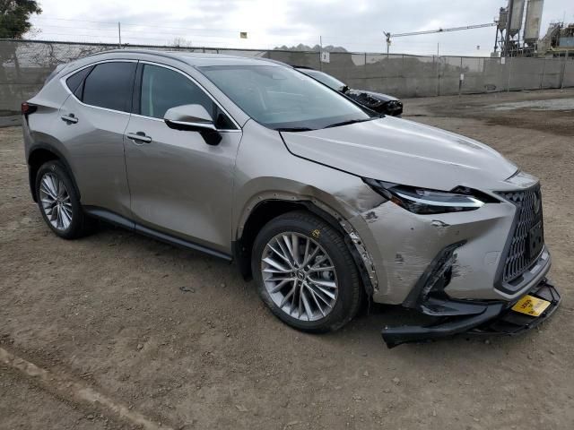 2025 Lexus NX 350H Base