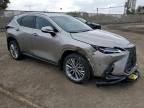 2025 Lexus NX 350H Base