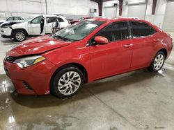 Salvage cars for sale at Avon, MN auction: 2016 Toyota Corolla L