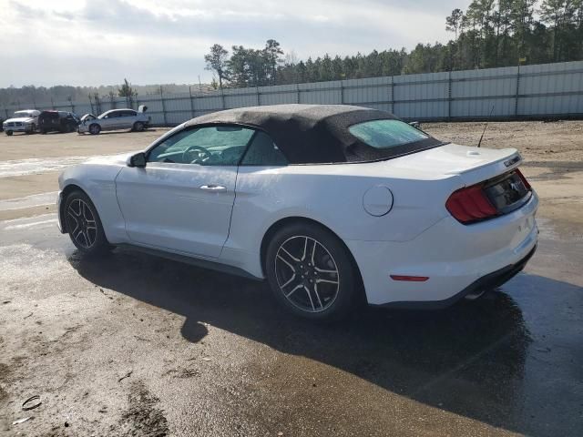 2019 Ford Mustang