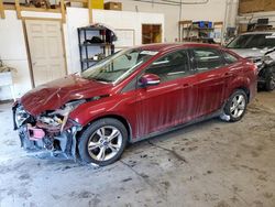 2013 Ford Focus SE en venta en Ham Lake, MN