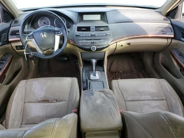 2011 Honda Accord EXL