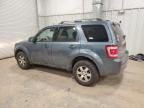 2010 Ford Escape Limited