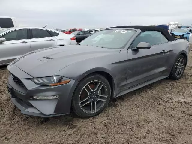 2021 Ford Mustang