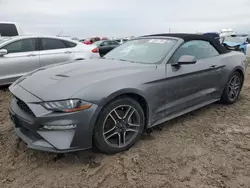 Ford salvage cars for sale: 2021 Ford Mustang