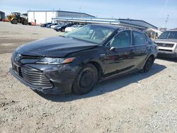 Salvage cars for sale at San Diego, CA auction: 2018 Toyota Camry LE