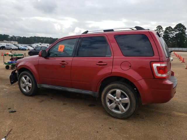 2012 Ford Escape Limited