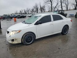 Salvage cars for sale at Bridgeton, MO auction: 2010 Toyota Corolla Base