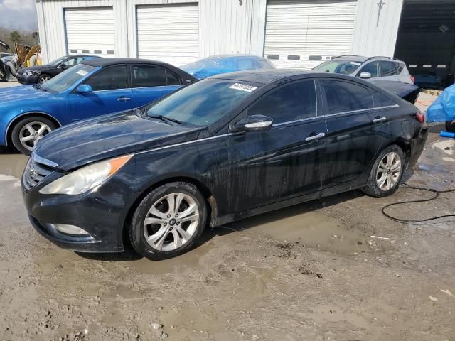 2011 Hyundai Sonata SE