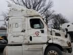 2016 Freightliner Cascadia 113