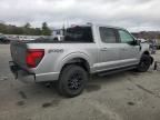 2024 Ford F150 XLT