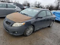 Salvage cars for sale from Copart Baltimore, MD: 2009 Toyota Corolla Base