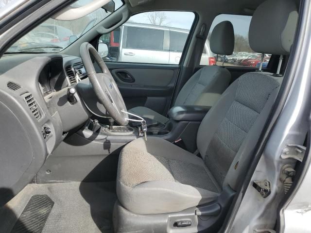 2005 Ford Escape XLT