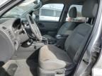 2005 Ford Escape XLT