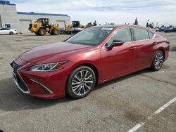 Salvage cars for sale at Rancho Cucamonga, CA auction: 2019 Lexus ES 350