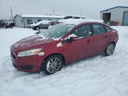 Ford Focus se salvage cars for sale: 2015 Ford Focus SE