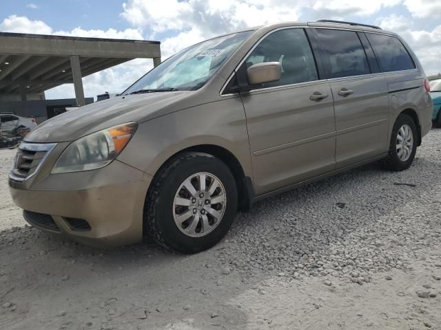 2008 Honda Odyssey EXL