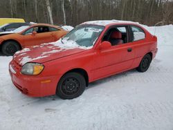 Salvage cars for sale from Copart Cookstown, ON: 2005 Hyundai Accent GS