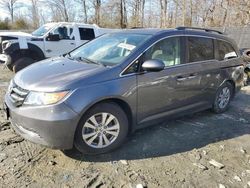 Honda salvage cars for sale: 2016 Honda Odyssey EXL