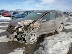 Salvage cars for sale at Helena, MT auction: 2011 Honda CR-V EXL