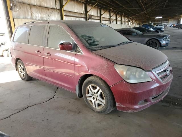 2005 Honda Odyssey EXL