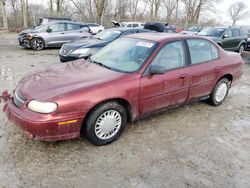 Salvage cars for sale at Cicero, IN auction: 2003 Chevrolet Malibu