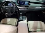 2021 Lexus ES 250 Base