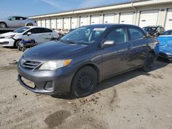 Salvage cars for sale at Louisville, KY auction: 2013 Toyota Corolla Base