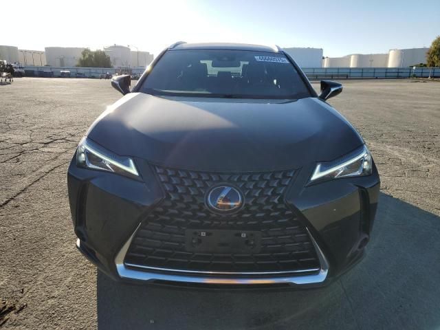 2020 Lexus UX 250H