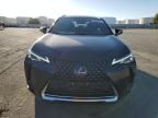 2020 Lexus UX 250H