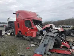 Salvage trucks for sale at Conway, AR auction: 2025 Freightliner Cascadia 126