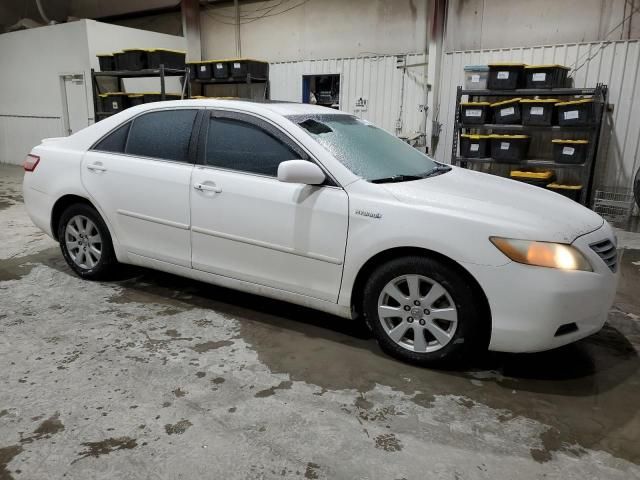 2009 Toyota Camry Hybrid