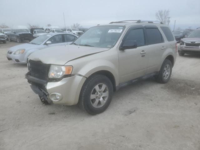 2010 Ford Escape Limited