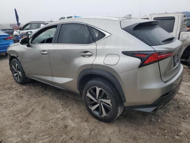 2020 Lexus NX 300