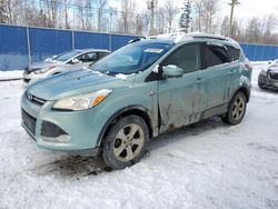 Salvage cars for sale at Moncton, NB auction: 2013 Ford Escape SE