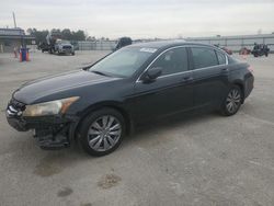 Salvage cars for sale at Harleyville, SC auction: 2012 Honda Accord EXL