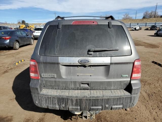 2010 Ford Escape Limited