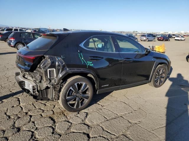 2020 Lexus UX 250H